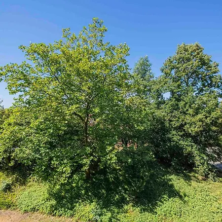 Apartamento Ferienwohnpark Ein-zimmer-apartment 51 16 Immenstaad am Bodensee